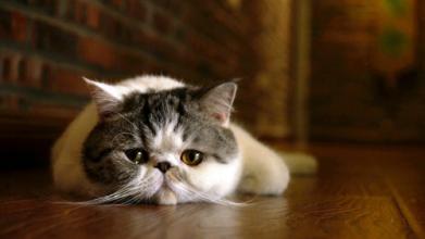 10点已至，9月基金从业考试成绩暂未公布（最新发布）